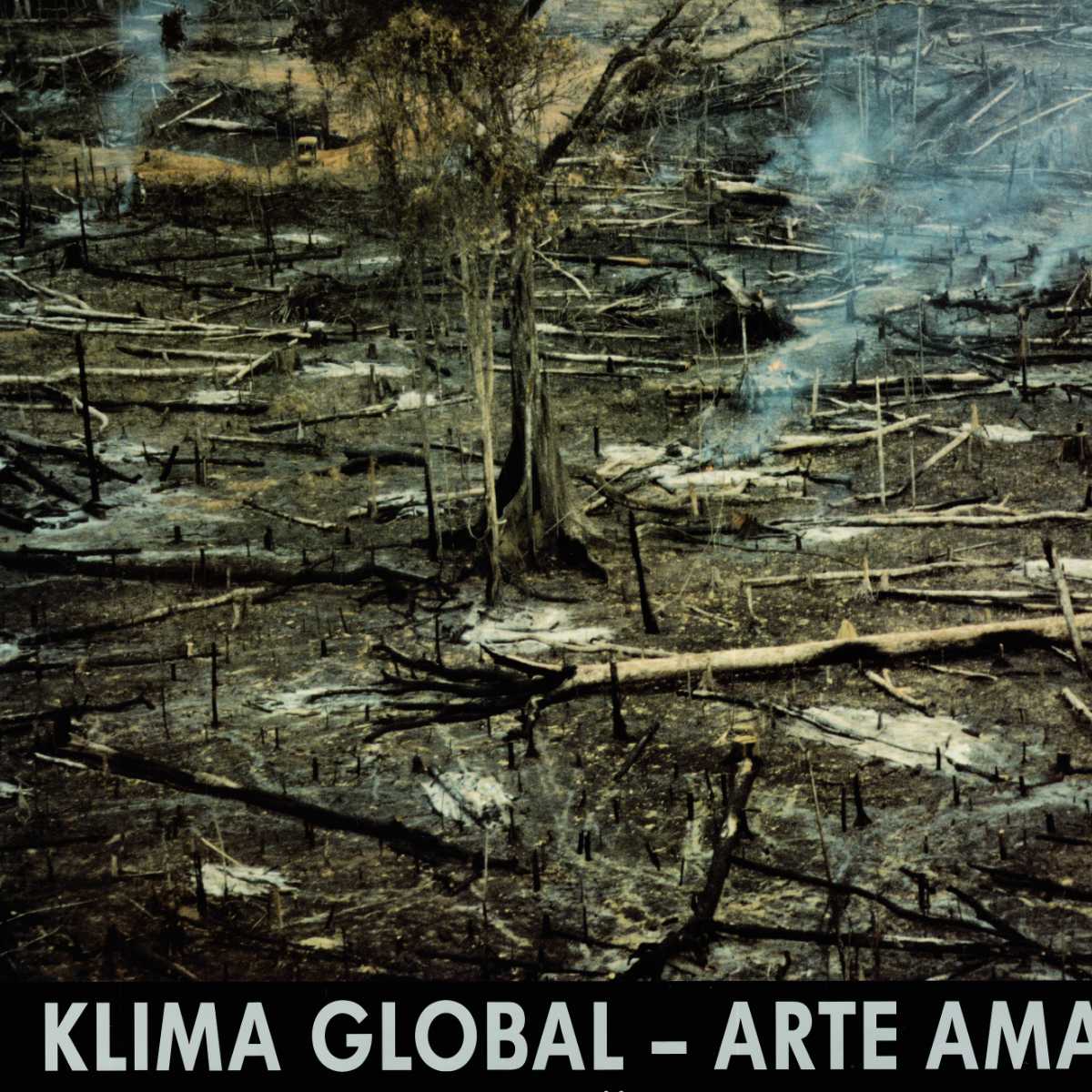Klima Global: Arte Amazonas, 1993